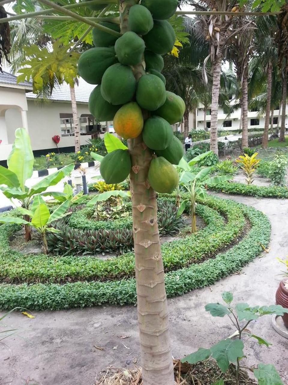 Oceanic Bay Hotel & Resort Bagamoyo Dış mekan fotoğraf